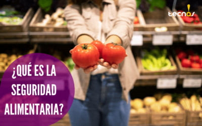 ¿Qué es la Seguridad Alimentaria? La importancia de los Manipuladores de Alimentos