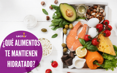 ¿Qué Alimentos te mantienen Hidratado en verano?