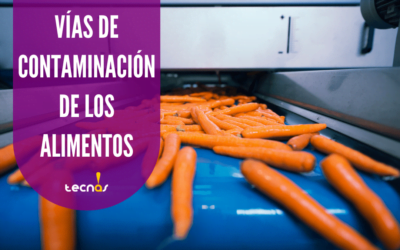 Vías de Contaminación de los Alimentos