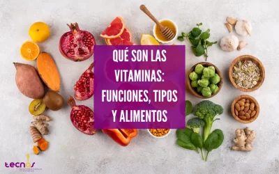¿Qué son las vitaminas y cuáles son sus funciones?