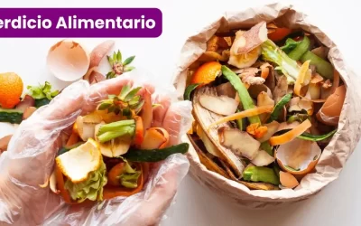 Desperdicio Alimentario: El Problema Silencioso que todos podemos frenar