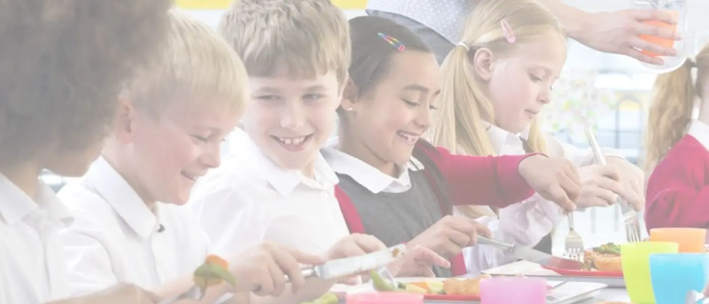 Curso Online de Monitor de Comedor Escolar - Tecnas Formación